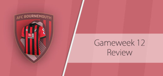 FPL Gameweek 12 Review