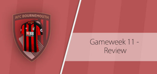 Gameweek 11 FPL Review