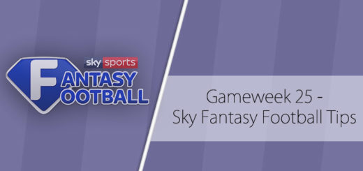 Gameweek 25 Sky Preview - Fantasy Football Tips
